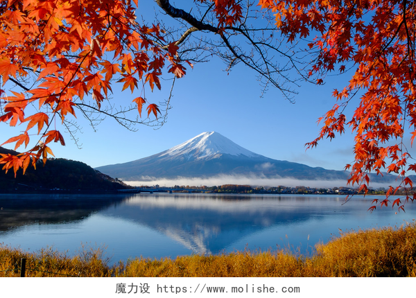 富士山和秋天树叶在河口湖富士山和秋天树叶